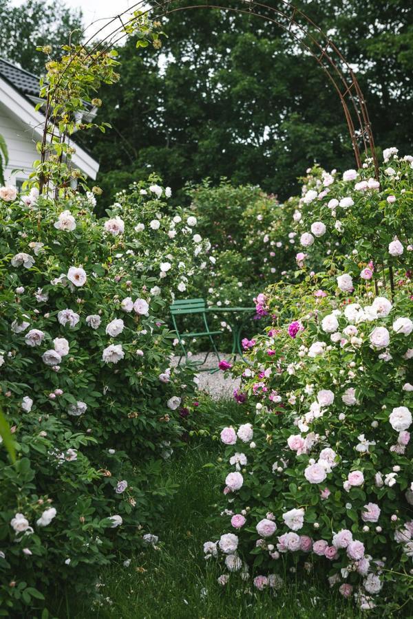 Vallby Cottage Enköping Eksteriør billede
