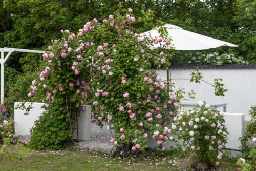 Vallby Cottage Enköping Eksteriør billede
