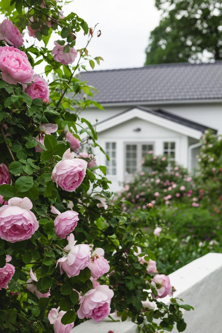 Vallby Cottage Enköping Eksteriør billede